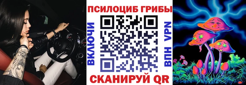 Псилоцибиновые грибы Magic Shrooms  наркошоп  Барыш 